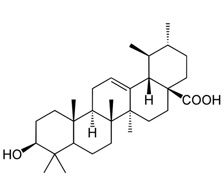 Specialized <br> genetic tests